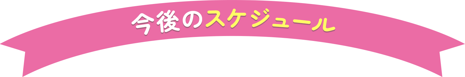 今後のスケジュール